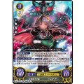 【R】父愛深き仔狼 ベロア