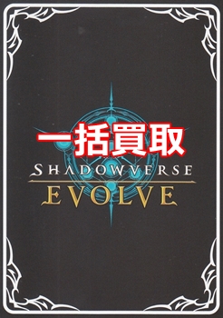 画像1: Shadowverse EVOLVE 一括買取　※サイトのシステム上、買取ご依頼時には(買取金額: 0円)と表記されておりますので、査定終了後に金額をご案内します (1)